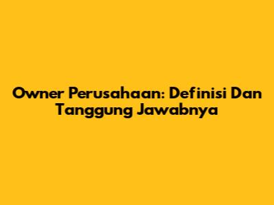 Owner Perusahaan: Definisi Dan Tanggung Jawabnya
